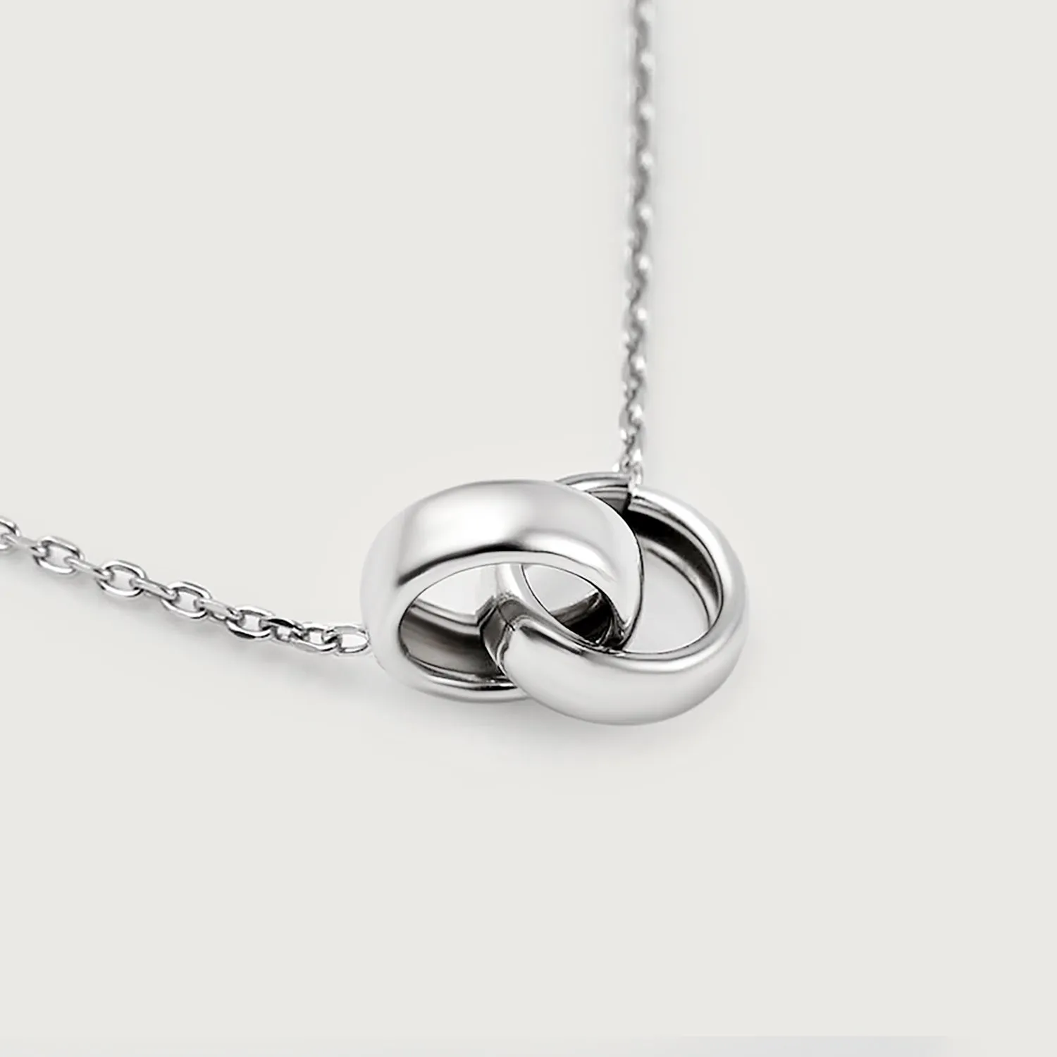 Forever Together Ring Necklace