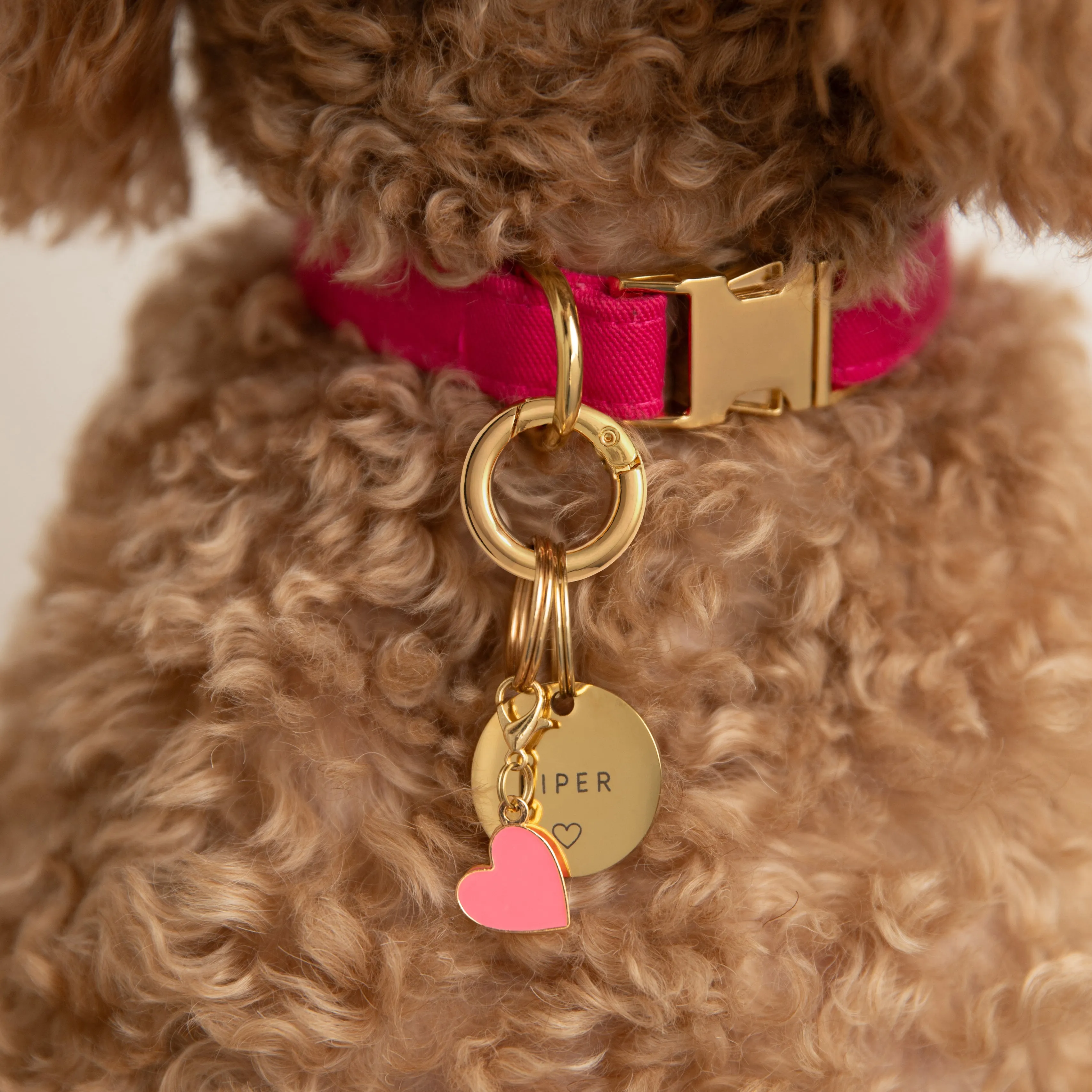 Heart Collar Charm