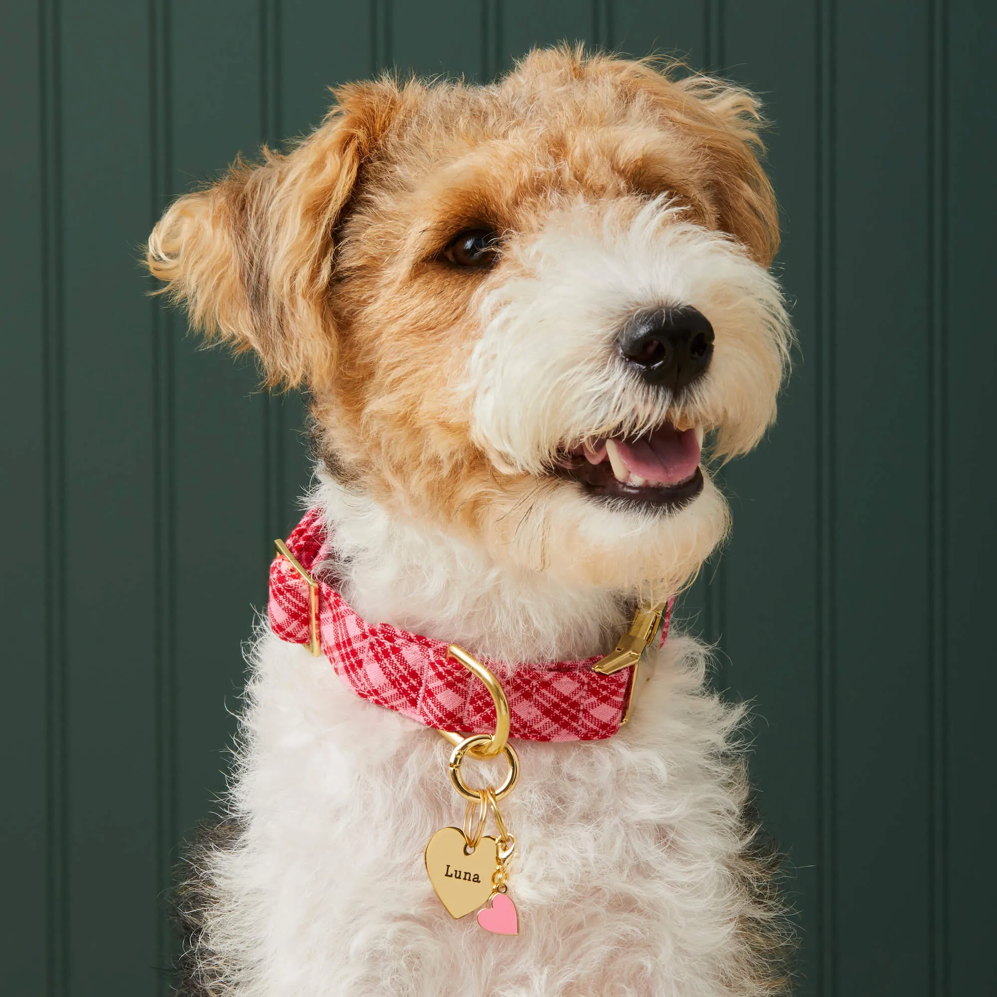 Heart Collar Charm